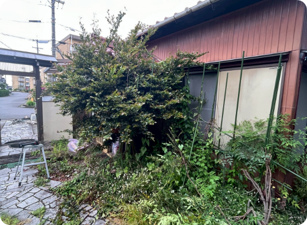 タイトルテキストテキスト