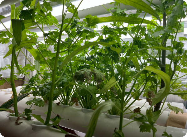 タイトルテキストテキスト